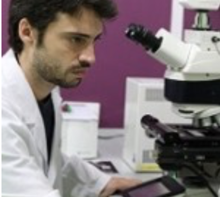 Pedro Vieira